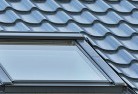 Foresterskylight-replacements.jpg; ?>